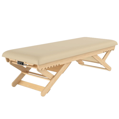 Boast Vibe™ Stationary VibroAcoustic Massage Table