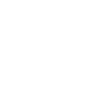 Worldwide shipping and wellness network icon