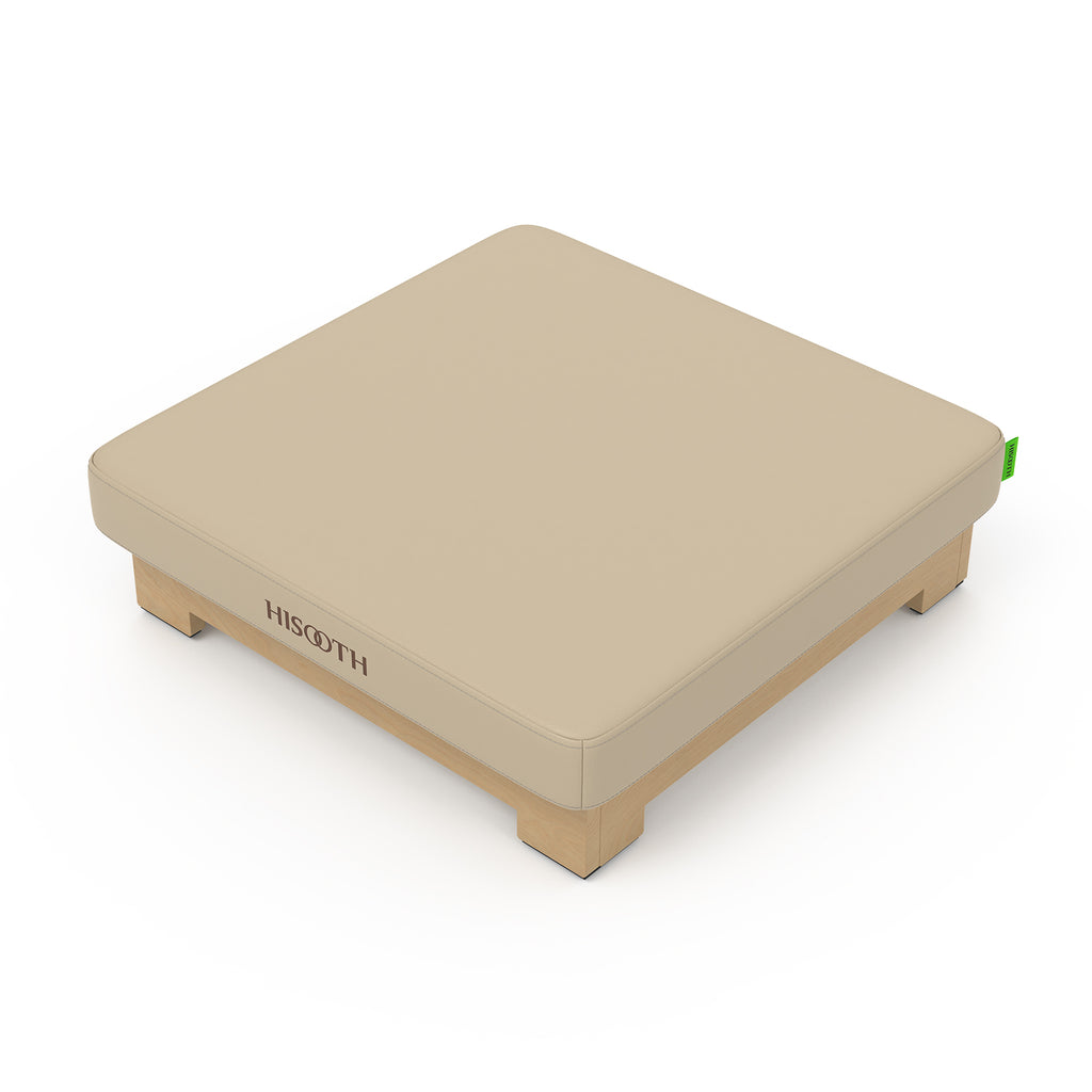 VibroAcoustic Cushion with Vibration